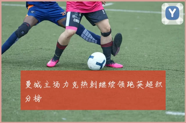 曼城主场力克热刺继续领跑英超积分榜
