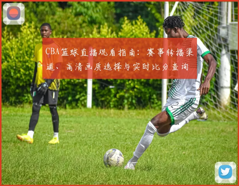 CBA篮球直播观看指南：赛事转播渠道、高清画质选择与实时比分查询方法