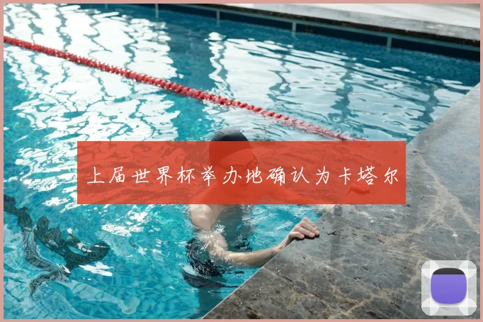 上届世界杯举办地确认为卡塔尔